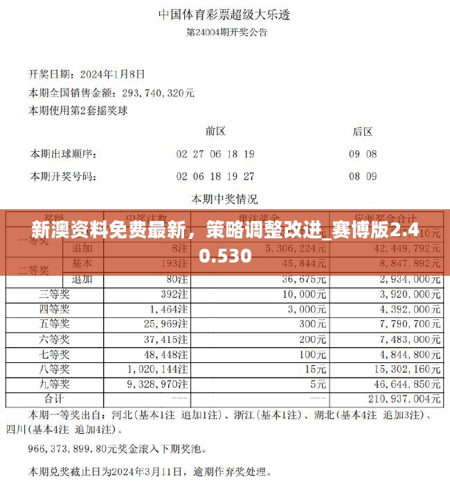 2024新澳开奖结果记录查询,实时解析说明_W24.646