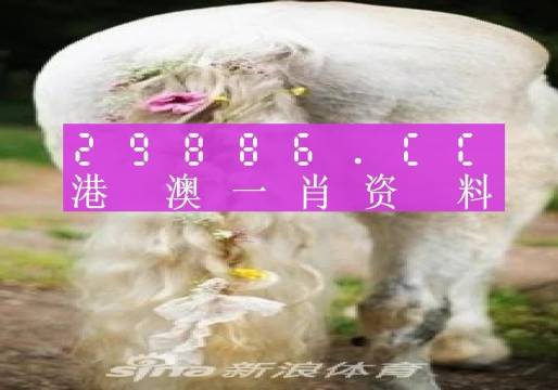 2024一肖一码100精准澳,免费数据查询平台_Android256.184