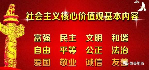 丰县文化局及相关单位最新招聘资讯详解